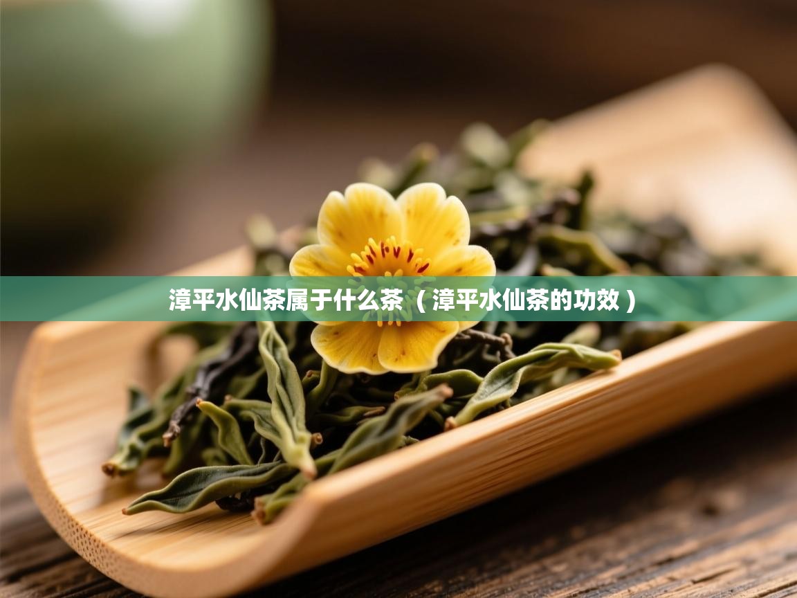  漳平水仙茶属于什么茶  ( 漳平水仙茶的功效 )