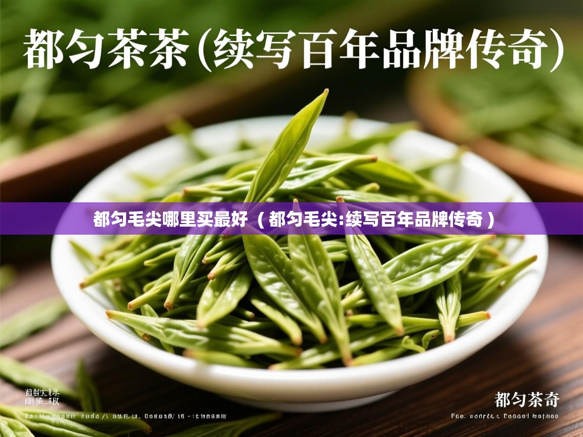  都匀毛尖哪里买最好  ( 都匀毛尖:续写百年品牌传奇 )