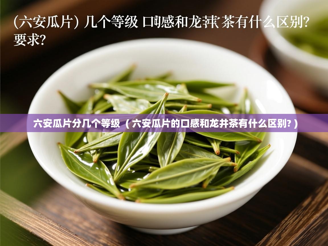 六安瓜片分几个等级 ( 六安瓜片的口感和龙井茶有什么区别? ) 六安瓜片分几个等级 ( 六安瓜片的口感和龙井茶有什么区别? )
