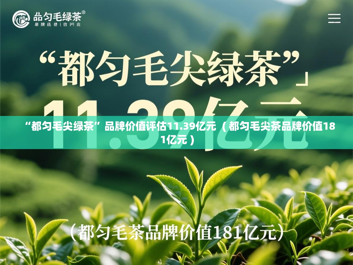  “都匀毛尖绿茶”品牌价值评估11.39亿元  ( 都匀毛尖茶品牌价值181亿元 )