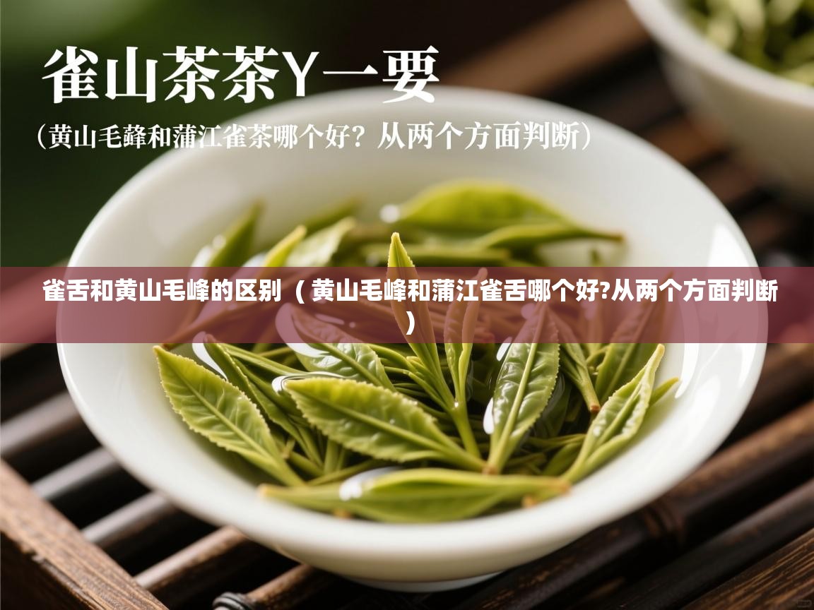 雀舌和黄山毛峰的区别 ( 黄山毛峰和蒲江雀舌哪个好?从两个方面判断 ) 雀舌和黄山毛峰的区别 ( 黄山毛峰和蒲江雀舌哪个好?从两个方面判断 )