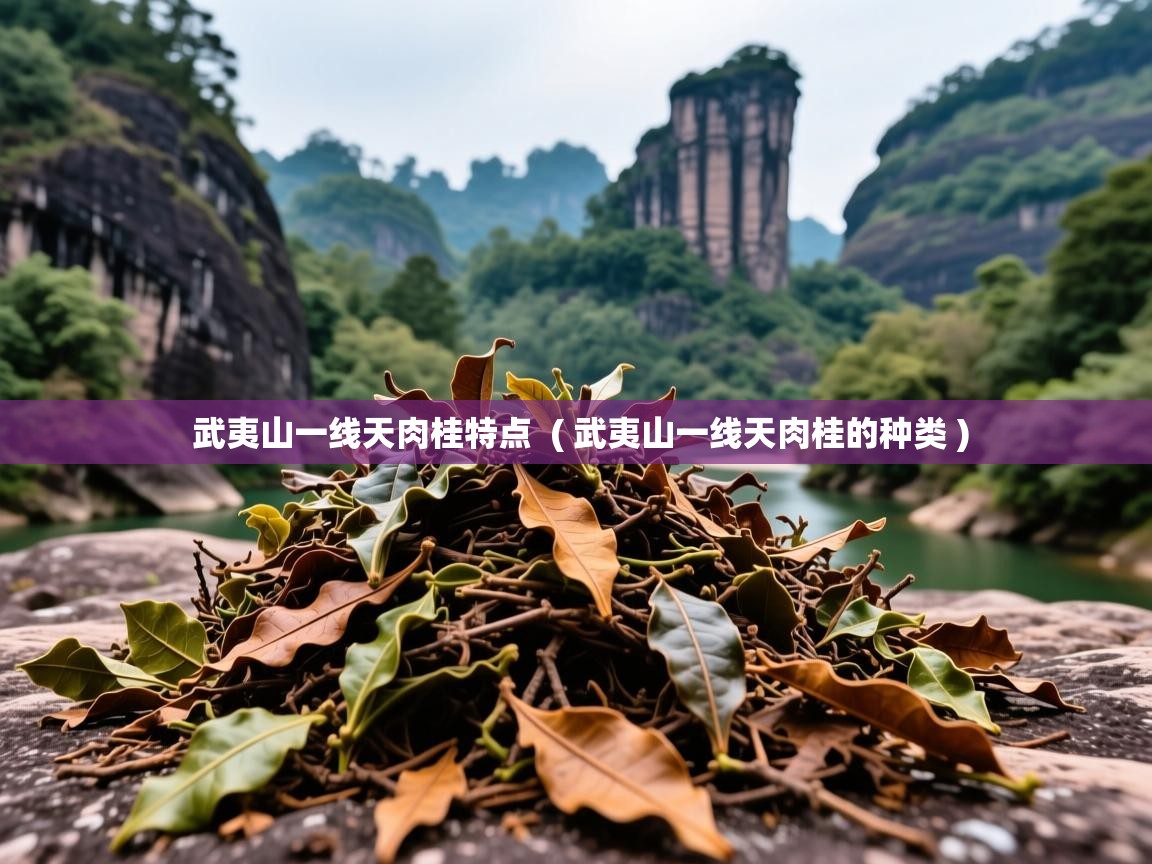 武夷山一线天肉桂特点 ( 武夷山一线天肉桂的种类 ) 武夷山一线天肉桂特点 ( 武夷山一线天肉桂的种类 )
