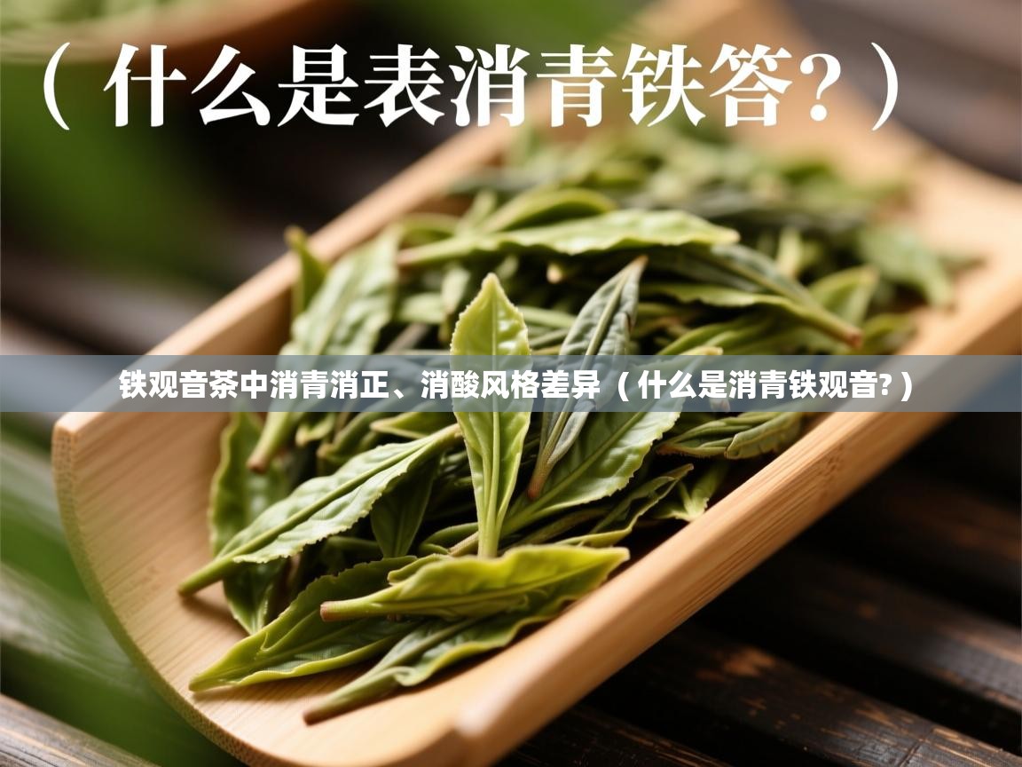 铁观音茶中消青消正、消酸风格差异  ( 什么是消青铁观音? )