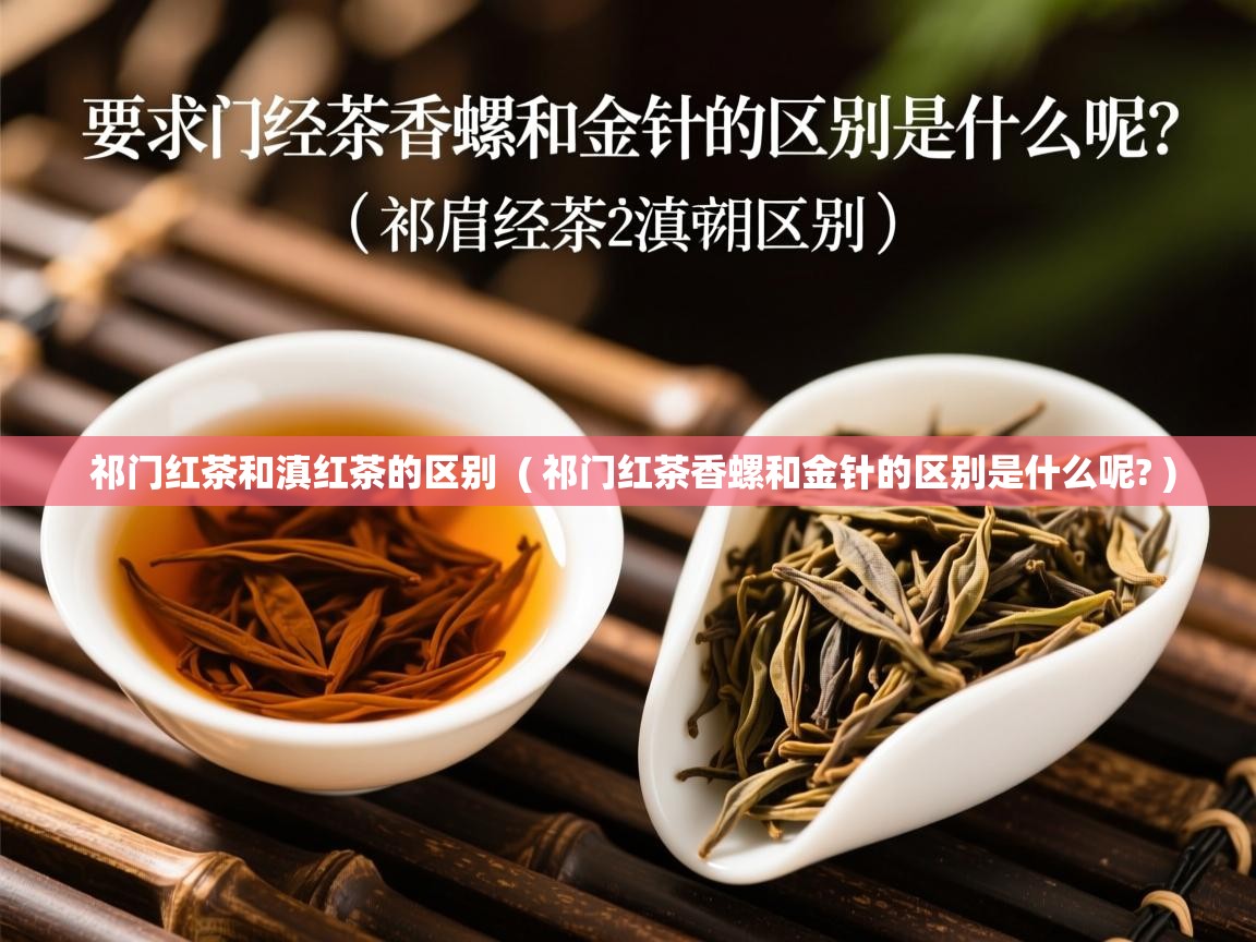 祁门红茶和滇红茶的区别 ( 祁门红茶香螺和金针的区别是什么呢? ) 祁门红茶和滇红茶的区别 ( 祁门红茶香螺和金针的区别是什么呢? )