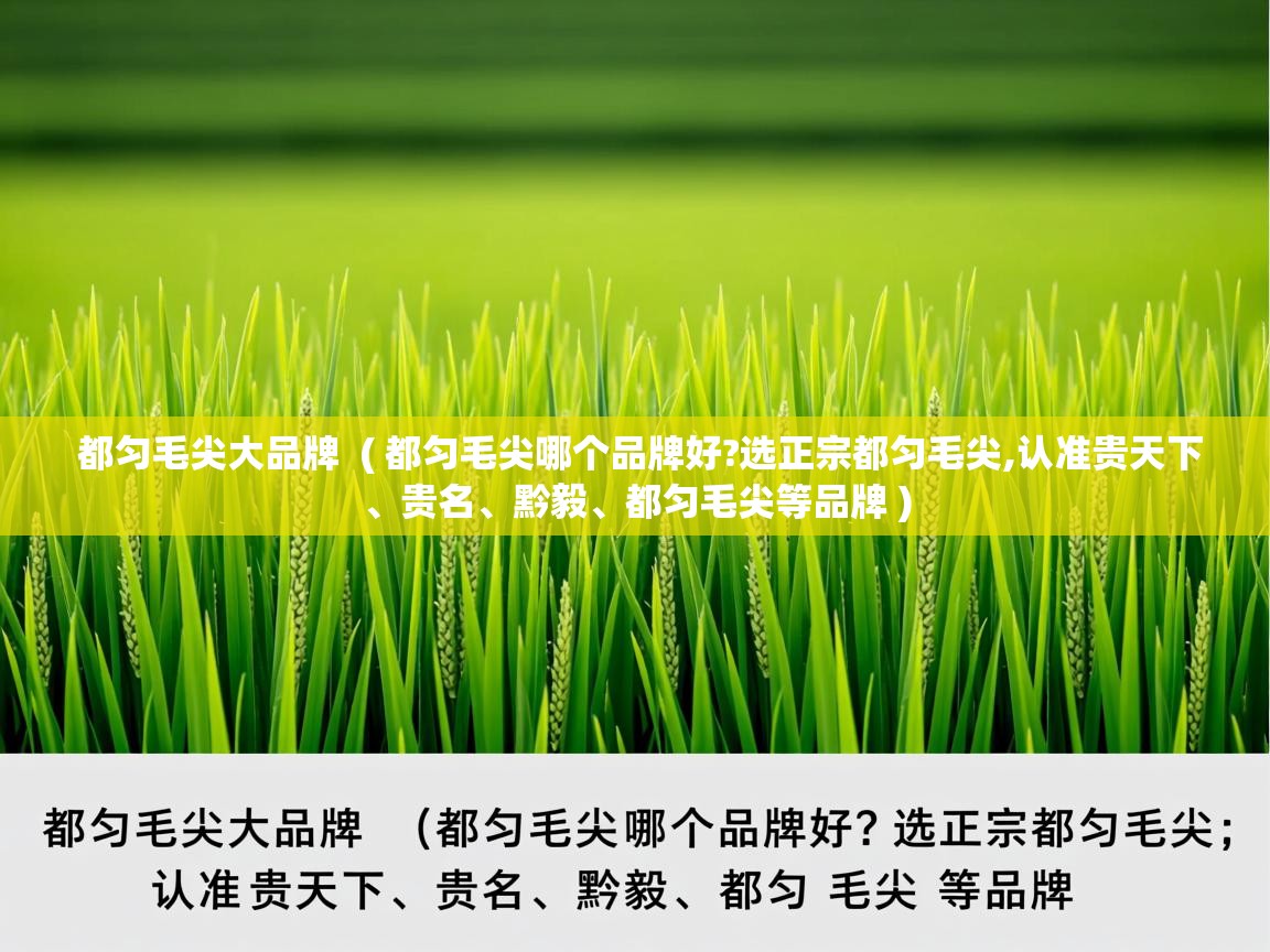 都匀毛尖大品牌 ( 都匀毛尖哪个品牌好?选正宗都匀毛尖,认准贵天下、贵名、黔毅、都匀毛尖等品牌 ) 都匀毛尖大品牌 ( 都匀毛尖哪个品牌好?选正宗都匀毛尖,认准贵天下、贵名、黔毅、都匀毛尖等品牌 )