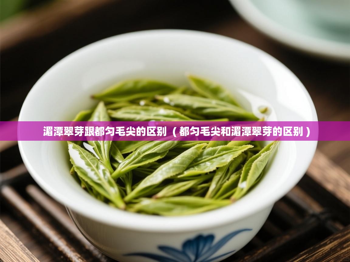 湄潭翠芽跟都匀毛尖的区别 ( 都匀毛尖和湄潭翠芽的区别 ) 湄潭翠芽跟都匀毛尖的区别 ( 都匀毛尖和湄潭翠芽的区别 )