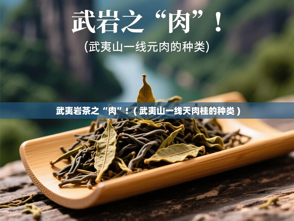 武夷岩茶之“肉”! ( 武夷山一线天肉桂的种类 ) 武夷岩茶之“肉”! ( 武夷山一线天肉桂的种类 )
