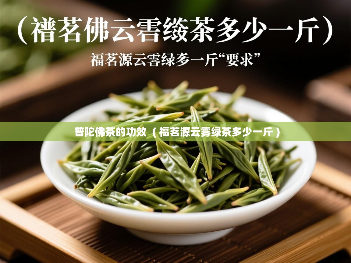  普陀佛茶的功效  ( 福茗源云雾绿茶多少一斤 )