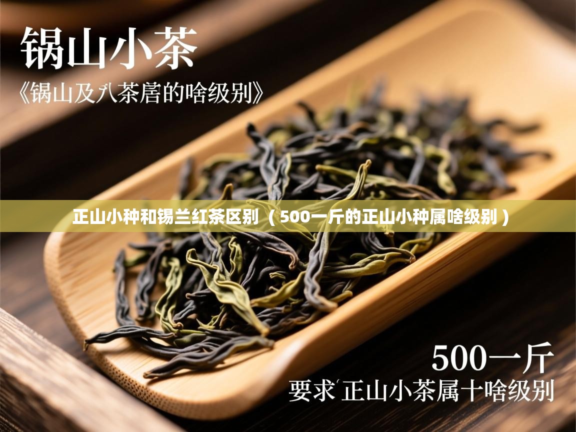 正山小种和锡兰红茶区别 ( 500一斤的正山小种属啥级别 ) 正山小种和锡兰红茶区别 ( 500一斤的正山小种属啥级别 )