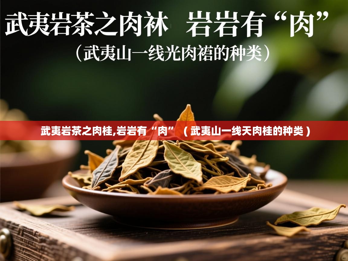 武夷岩茶之肉桂,岩岩有“肉” ( 武夷山一线天肉桂的种类 ) 武夷岩茶之肉桂,岩岩有“肉” ( 武夷山一线天肉桂的种类 )