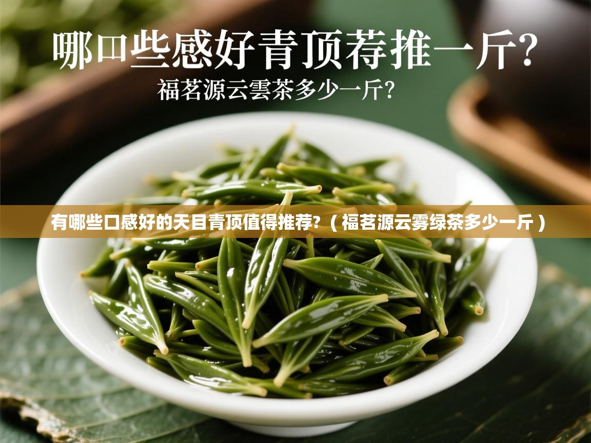  有哪些口感好的天目青顶值得推荐?  ( 福茗源云雾绿茶多少一斤 )