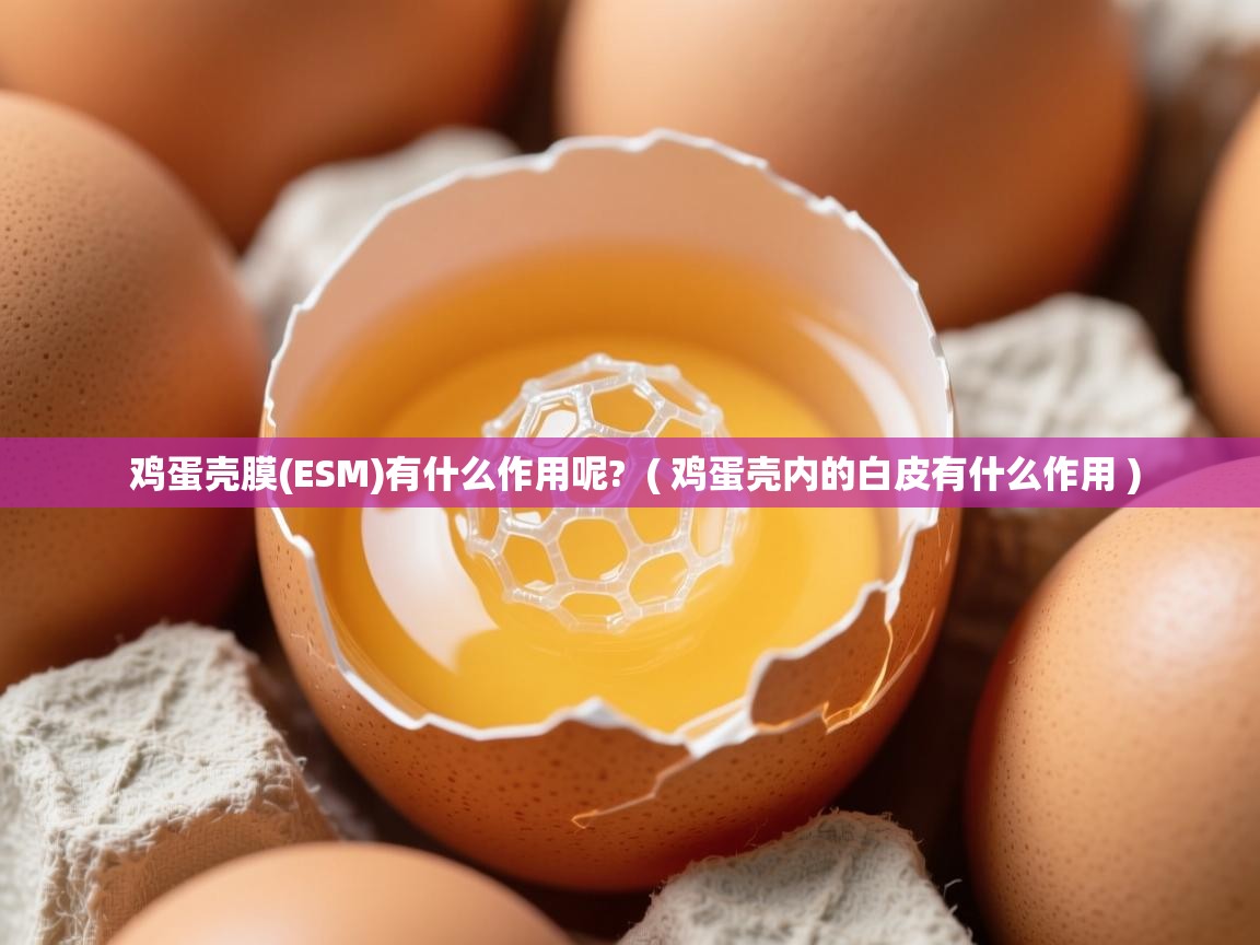 鸡蛋壳膜(ESM)有什么作用呢? ( 鸡蛋壳内的白皮有什么作用 ) 鸡蛋壳膜(ESM)有什么作用呢? ( 鸡蛋壳内的白皮有什么作用 )