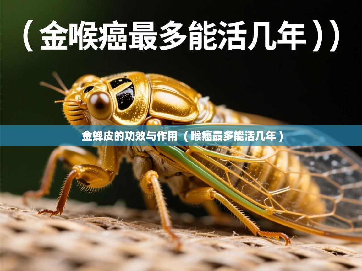  金蝉皮的功效与作用  ( 喉癌最多能活几年 )