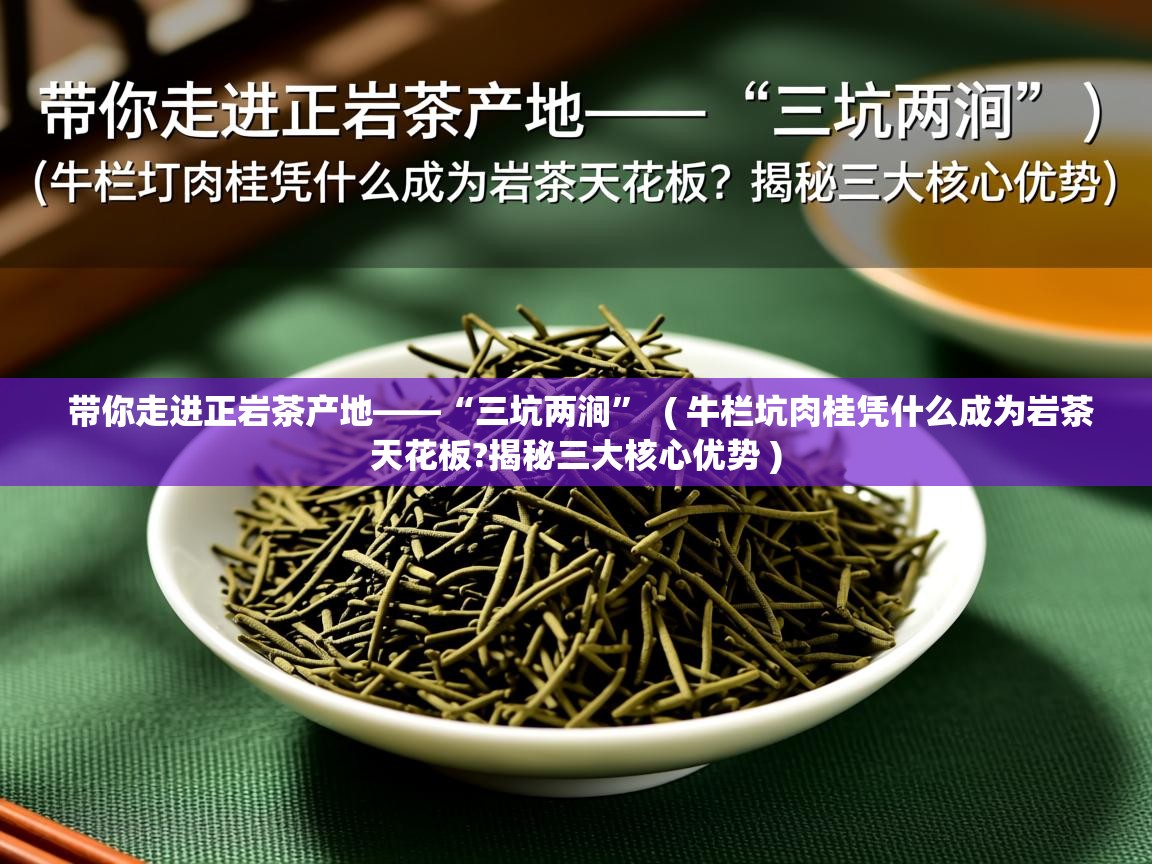  带你走进正岩茶产地——“三坑两涧”  ( 牛栏坑肉桂凭什么成为岩茶天花板?揭秘三大核心优势 )