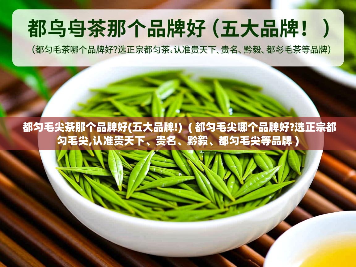  都匀毛尖茶那个品牌好(五大品牌!)  ( 都匀毛尖哪个品牌好?选正宗都匀毛尖,认准贵天下、贵名、黔毅、都匀毛尖等品牌 )