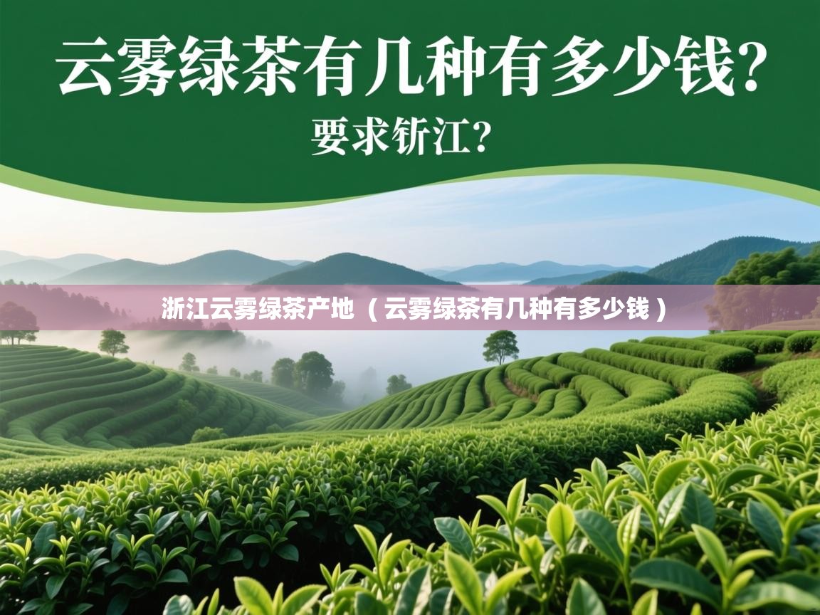  浙江云雾绿茶产地  ( 云雾绿茶有几种有多少钱 )