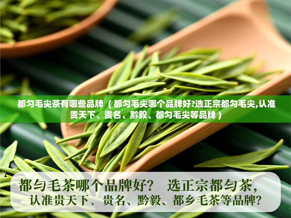 都匀毛尖茶有哪些品牌 ( 都匀毛尖哪个品牌好?选正宗都匀毛尖,认准贵天下、贵名、黔毅、都匀毛尖等品牌 ) 都匀毛尖茶有哪些品牌 ( 都匀毛尖哪个品牌好?选正宗都匀毛尖,认准贵天下、贵名、黔毅、都匀毛尖等品牌 )