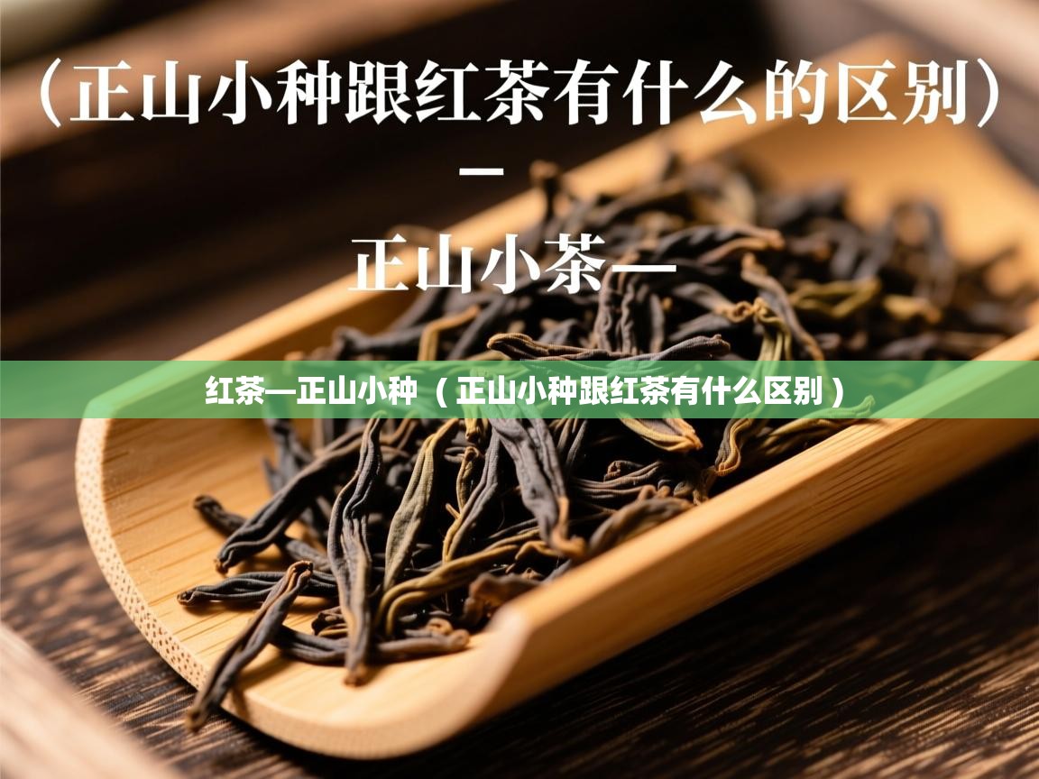  红茶—正山小种  ( 正山小种跟红茶有什么区别 )