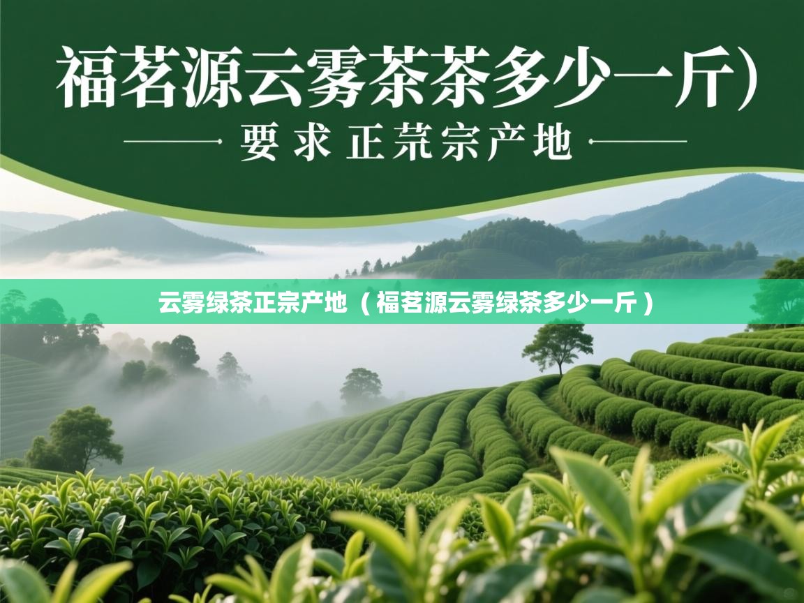 云雾绿茶正宗产地 ( 福茗源云雾绿茶多少一斤 ) 云雾绿茶正宗产地 ( 福茗源云雾绿茶多少一斤 )