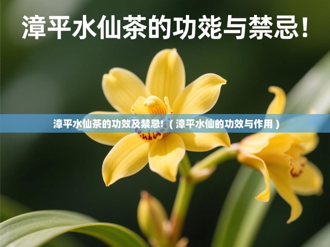 漳平水仙茶的功效及禁忌! ( 漳平水仙的功效与作用 ) 漳平水仙茶的功效及禁忌! ( 漳平水仙的功效与作用 )