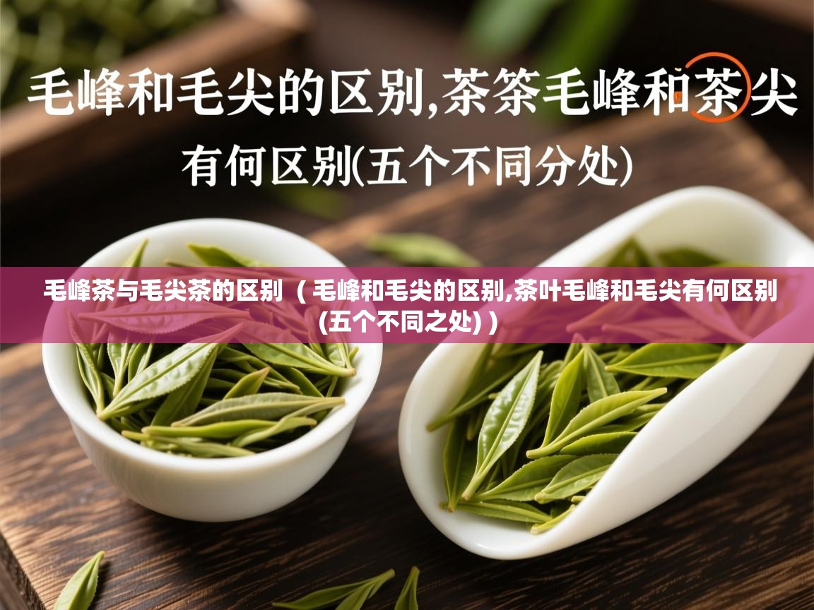 毛峰茶与毛尖茶的区别 ( 毛峰和毛尖的区别,茶叶毛峰和毛尖有何区别(五个不同之处) ) 毛峰茶与毛尖茶的区别 ( 毛峰和毛尖的区别,茶叶毛峰和毛尖有何区别(五个不同之处) )