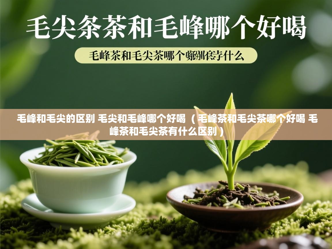 毛峰和毛尖的区别 毛尖和毛峰哪个好喝 ( 毛峰茶和毛尖茶哪个好喝 毛峰茶和毛尖茶有什么区别 ) 毛峰和毛尖的区别 毛尖和毛峰哪个好喝 ( 毛峰茶和毛尖茶哪个好喝 毛峰茶和毛尖茶有什么区别 )