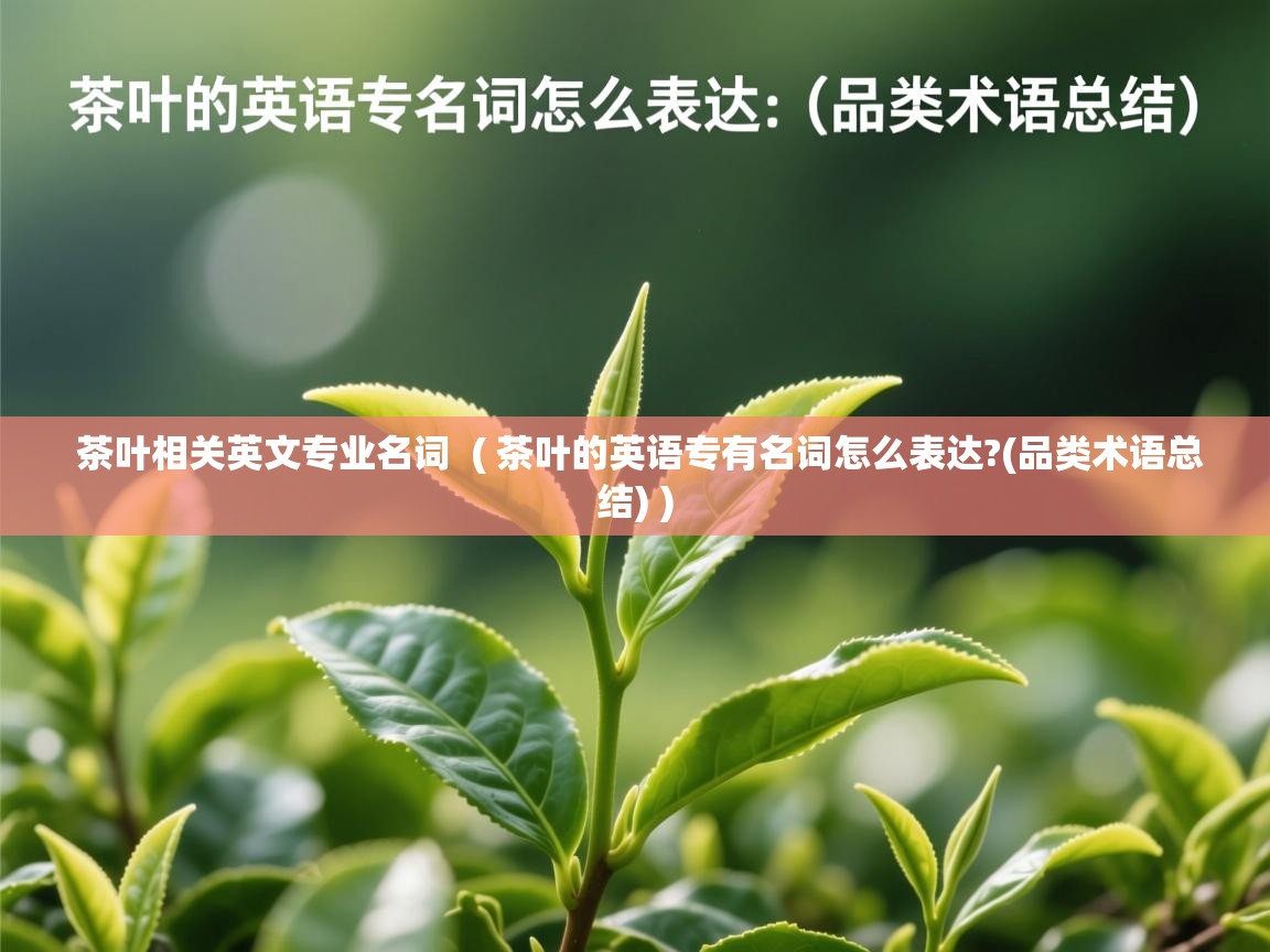  茶叶相关英文专业名词  ( 茶叶的英语专有名词怎么表达?(品类术语总结) )