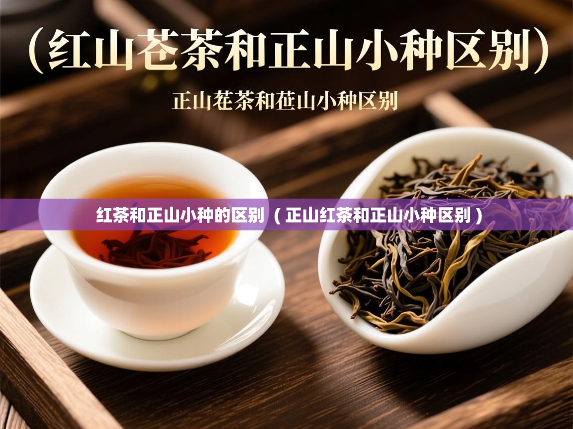  红茶和正山小种的区别  ( 正山红茶和正山小种区别 )