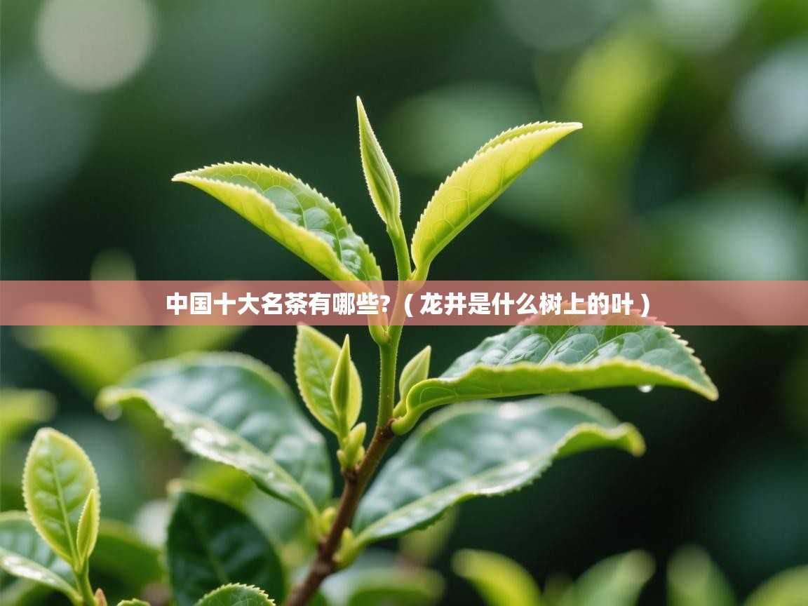中国十大名茶有哪些? ( 龙井是什么树上的叶 ) 中国十大名茶有哪些? ( 龙井是什么树上的叶 )
