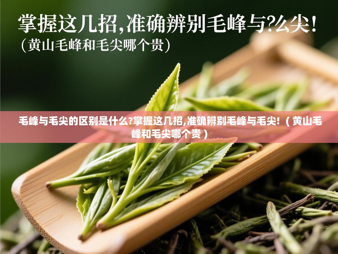  毛峰与毛尖的区别是什么?掌握这几招,准确辨别毛峰与毛尖!  ( 黄山毛峰和毛尖哪个贵 )