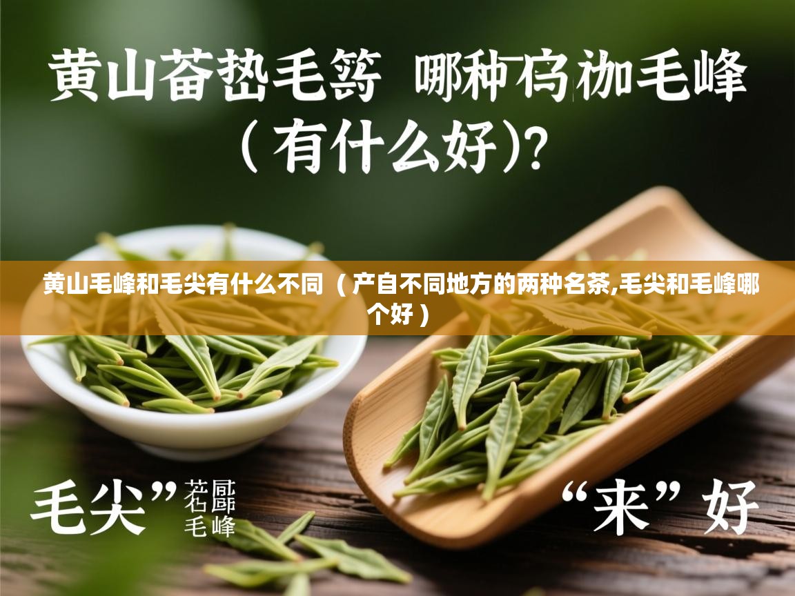 黄山毛峰和毛尖有什么不同 ( 产自不同地方的两种名茶,毛尖和毛峰哪个好 ) 黄山毛峰和毛尖有什么不同 ( 产自不同地方的两种名茶,毛尖和毛峰哪个好 )