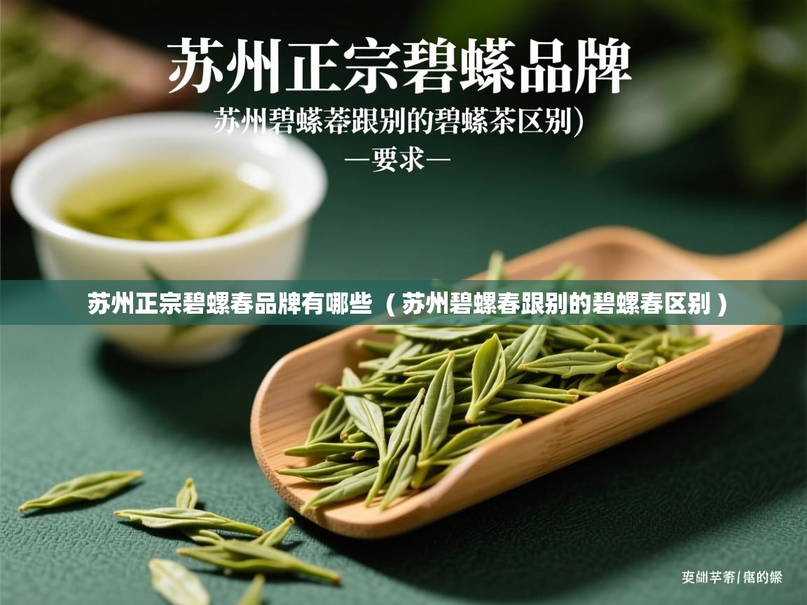 苏州正宗碧螺春品牌有哪些 ( 苏州碧螺春跟别的碧螺春区别 ) 苏州正宗碧螺春品牌有哪些 ( 苏州碧螺春跟别的碧螺春区别 )