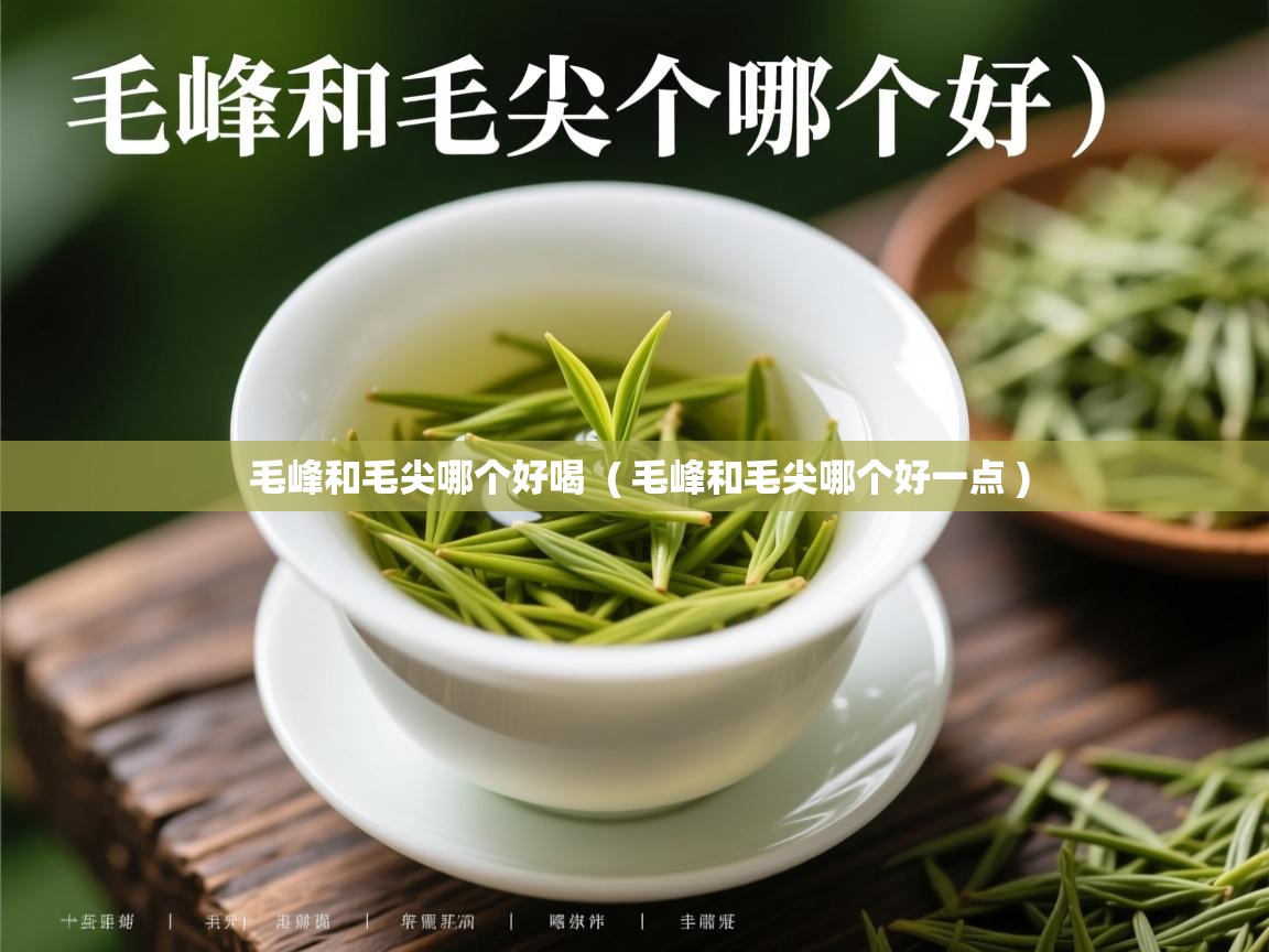 毛峰和毛尖哪个好喝 ( 毛峰和毛尖哪个好一点 ) 毛峰和毛尖哪个好喝 ( 毛峰和毛尖哪个好一点 )