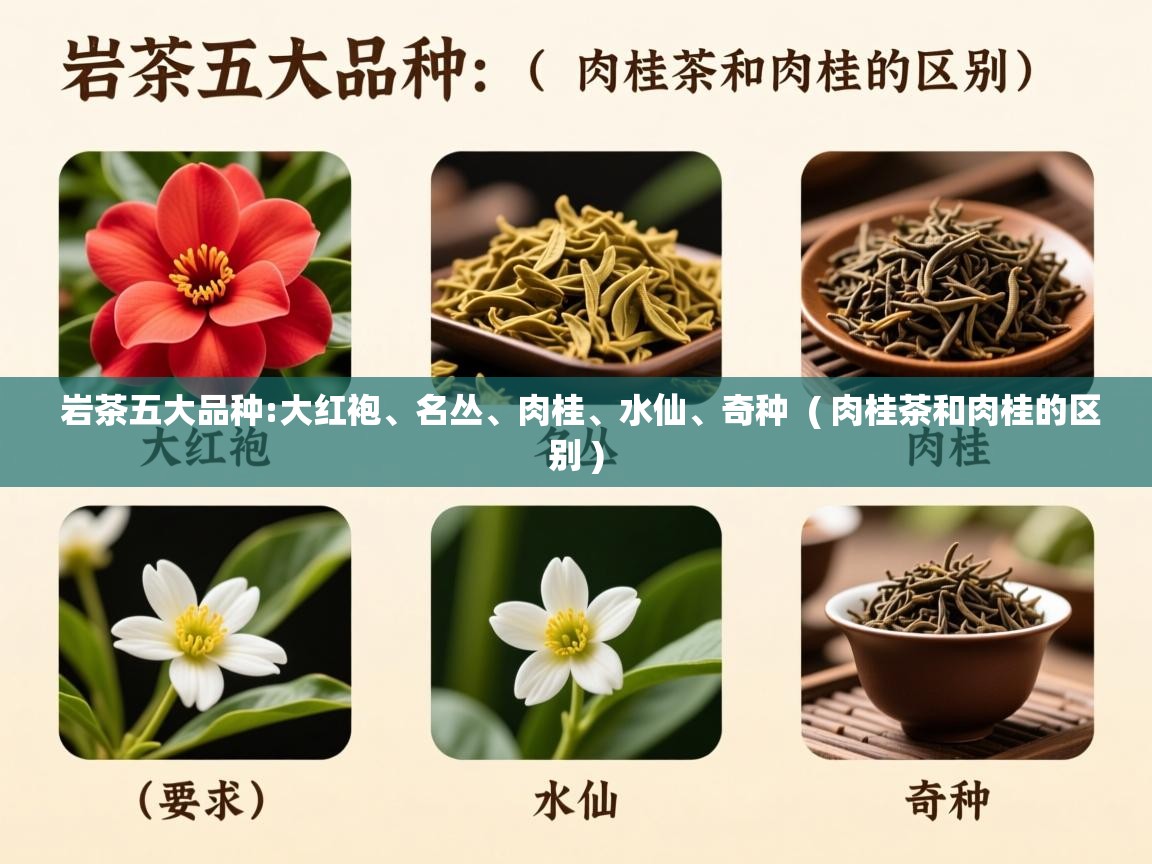  岩茶五大品种:大红袍、名丛、肉桂、水仙、奇种  ( 肉桂茶和肉桂的区别 )