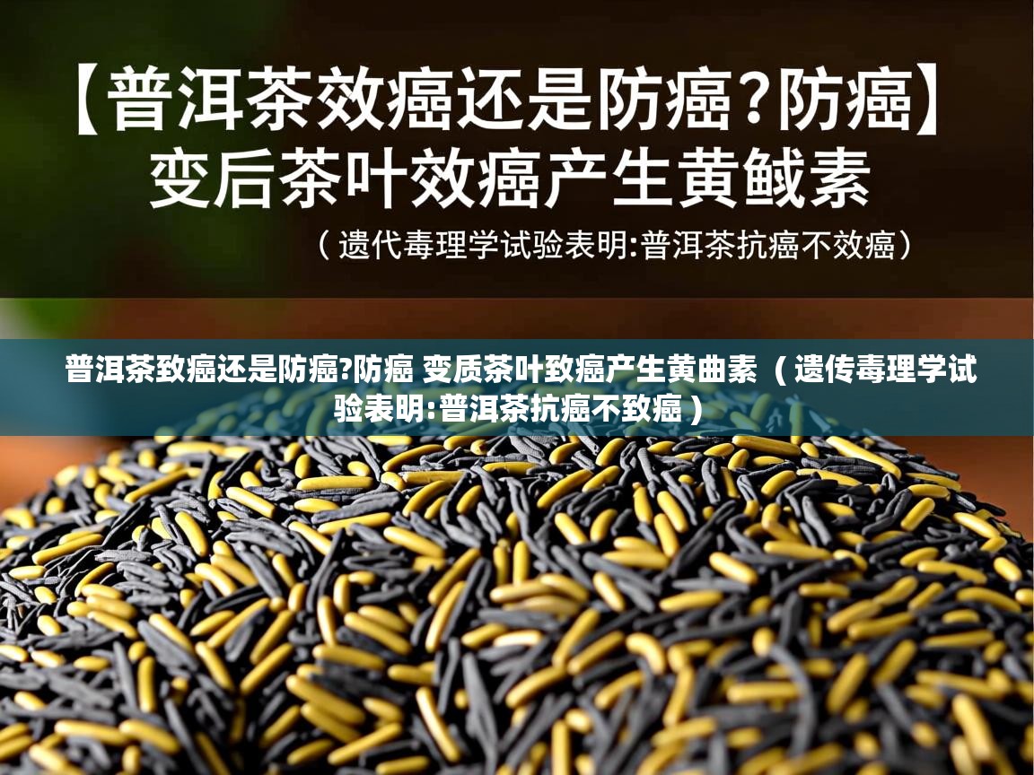 普洱茶致癌还是防癌?防癌 变质茶叶致癌产生黄曲素 ( 遗传毒理学试验表明:普洱茶抗癌不致癌 ) 普洱茶致癌还是防癌?防癌 变质茶叶致癌产生黄曲素 ( 遗传毒理学试验表明:普洱茶抗癌不致癌 )
