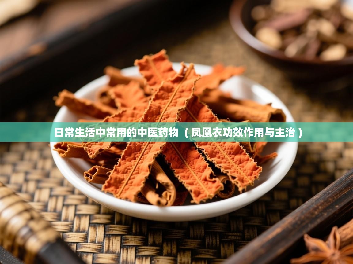  日常生活中常用的中医药物  ( 凤凰衣功效作用与主治 )