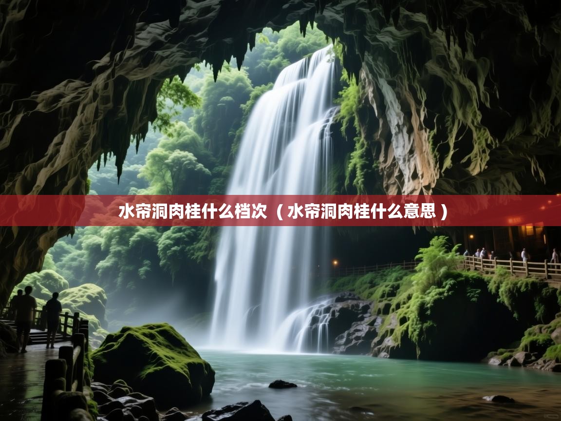  水帘洞肉桂什么档次  ( 水帘洞肉桂什么意思 )