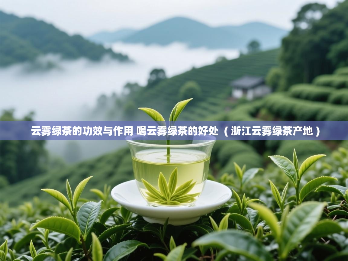  云雾绿茶的功效与作用 喝云雾绿茶的好处  ( 浙江云雾绿茶产地 )