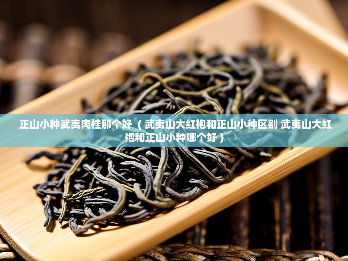  正山小种武夷肉桂那个好  ( 武夷山大红袍和正山小种区别 武夷山大红袍和正山小种哪个好 )