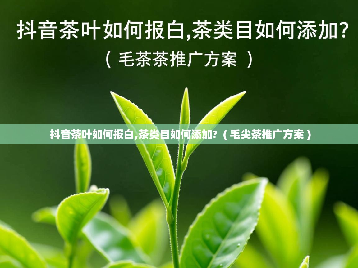 抖音茶叶如何报白,茶类目如何添加? ( 毛尖茶推广方案 ) 抖音茶叶如何报白,茶类目如何添加? ( 毛尖茶推广方案 )