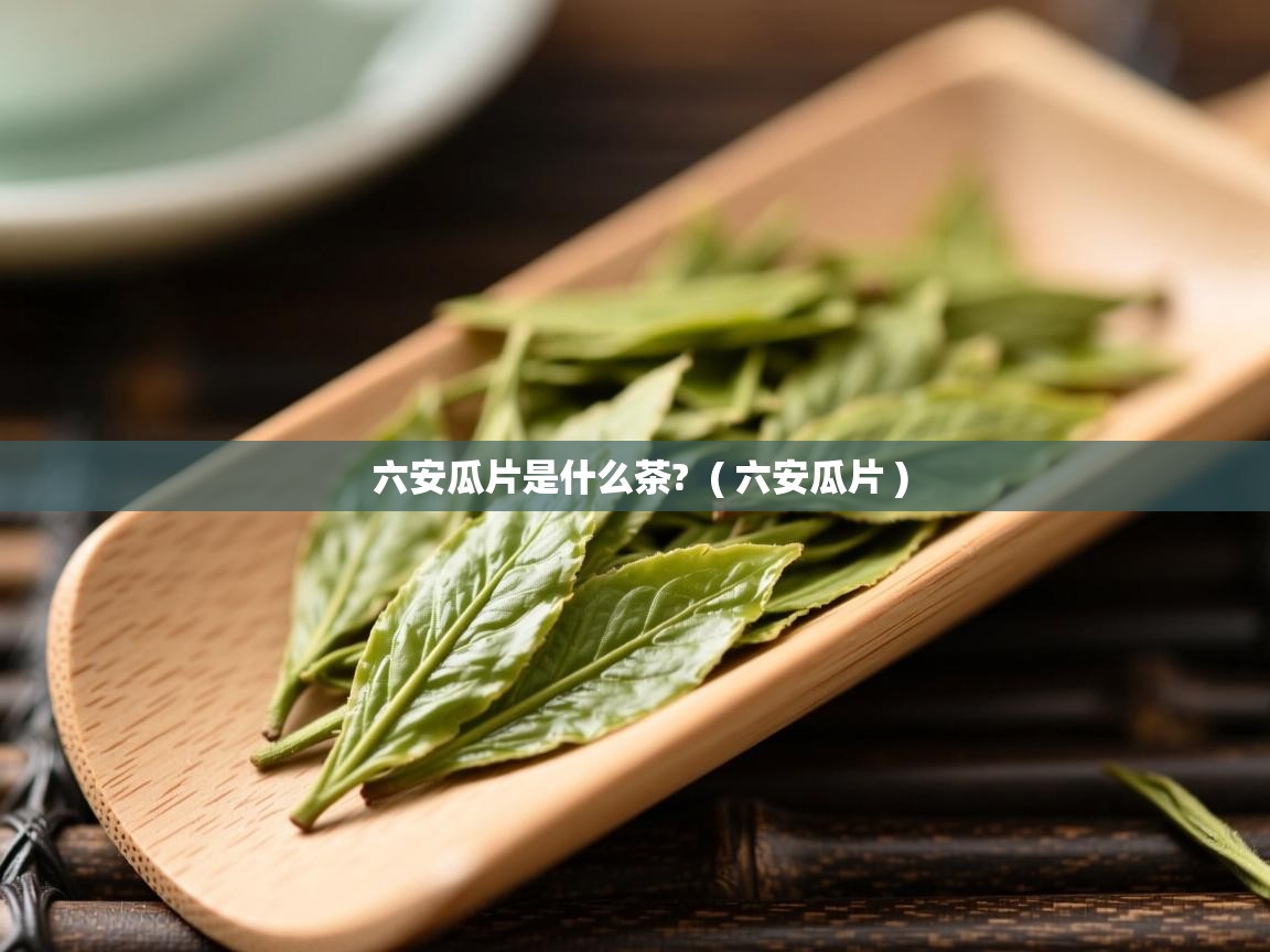 六安瓜片是什么茶? ( 六安瓜片 ) 六安瓜片是什么茶? ( 六安瓜片 )