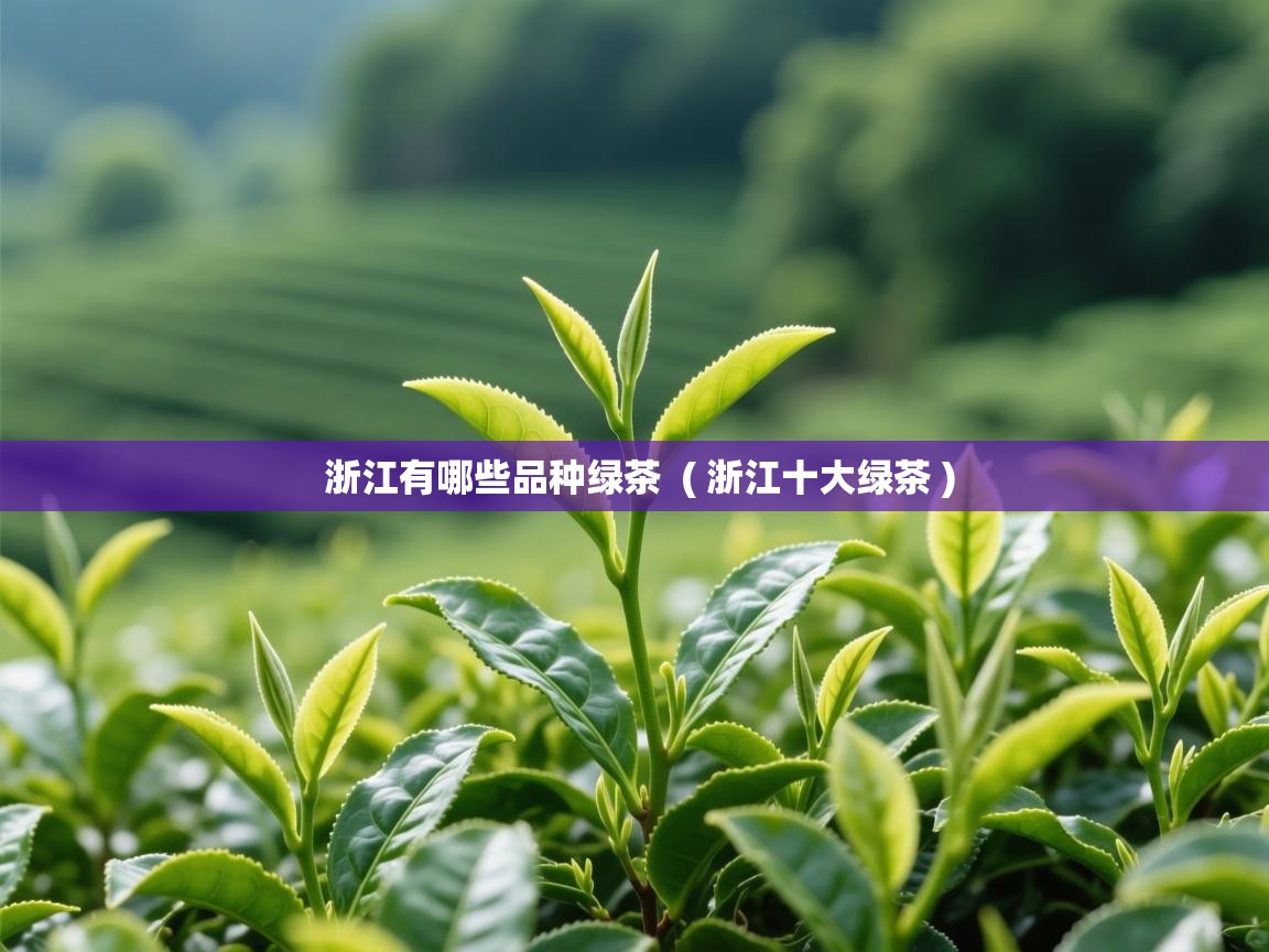 浙江有哪些品种绿茶 ( 浙江十大绿茶 ) 浙江有哪些品种绿茶 ( 浙江十大绿茶 )