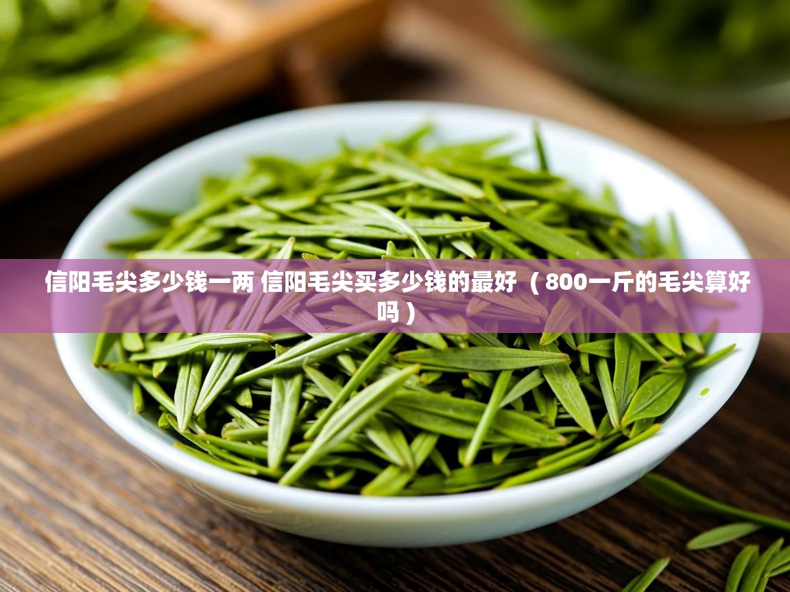 信阳毛尖多少钱一两 信阳毛尖买多少钱的最好 ( 800一斤的毛尖算好吗 ) 信阳毛尖多少钱一两 信阳毛尖买多少钱的最好 ( 800一斤的毛尖算好吗 )