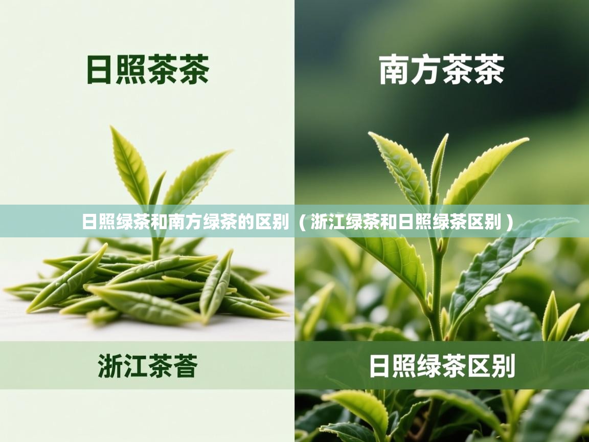  日照绿茶和南方绿茶的区别  ( 浙江绿茶和日照绿茶区别 )