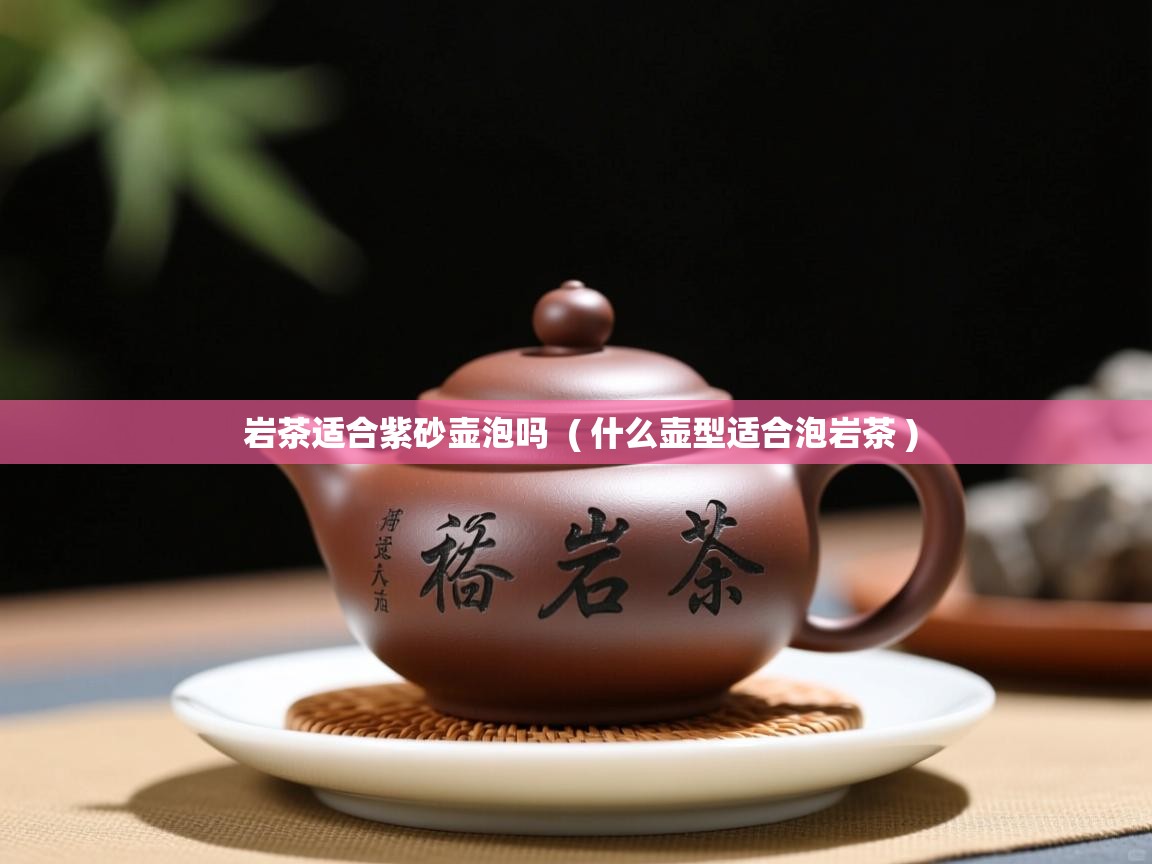  岩茶适合紫砂壶泡吗  ( 什么壶型适合泡岩茶 )