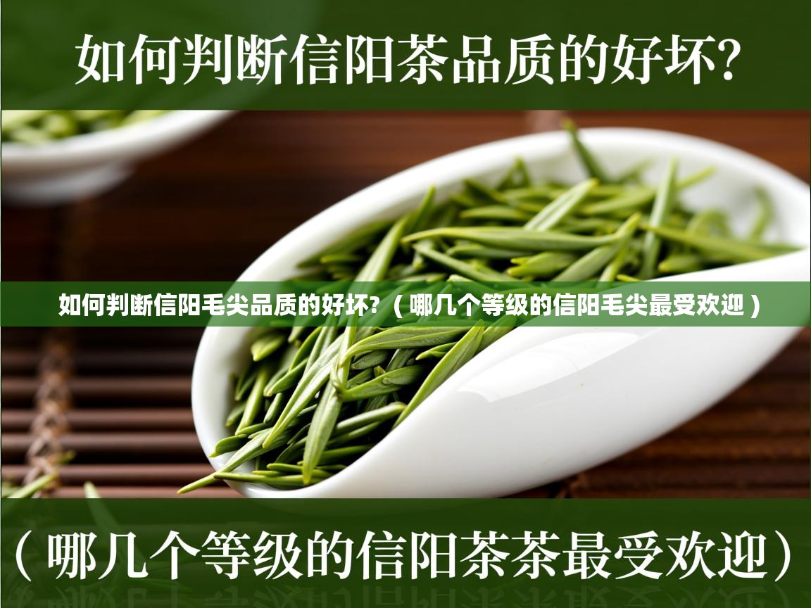  如何判断信阳毛尖品质的好坏?  ( 哪几个等级的信阳毛尖最受欢迎 )