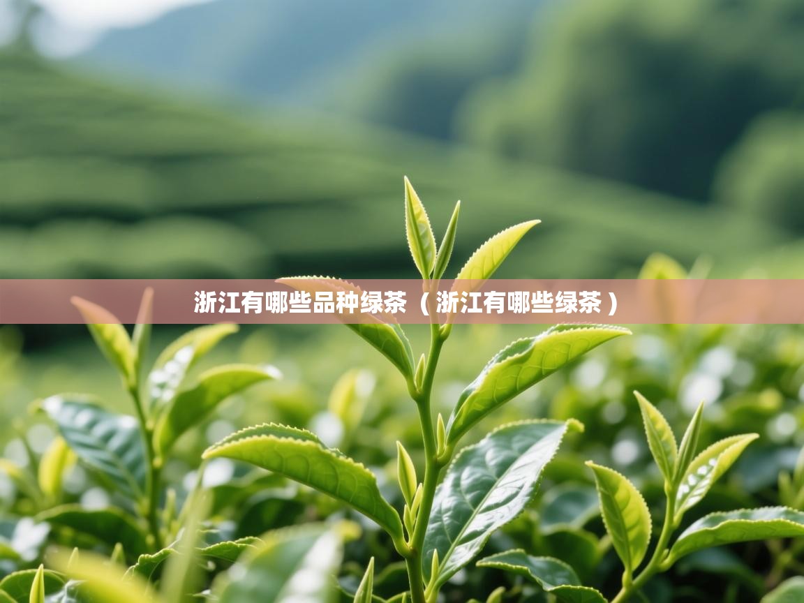  浙江有哪些品种绿茶  ( 浙江有哪些绿茶 )