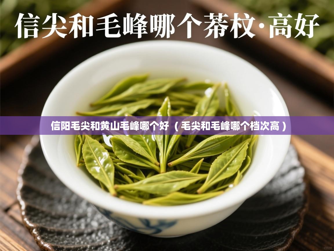  信阳毛尖和黄山毛峰哪个好  ( 毛尖和毛峰哪个档次高 )