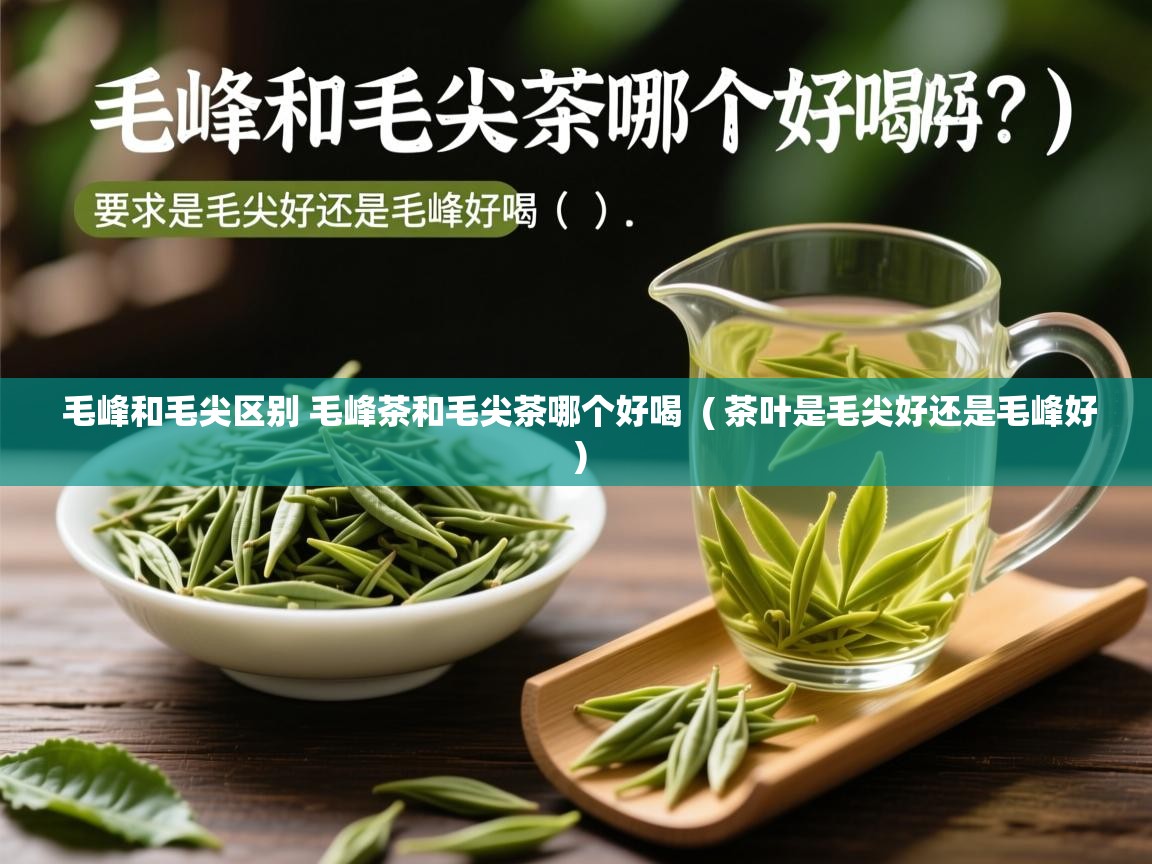  毛峰和毛尖区别 毛峰茶和毛尖茶哪个好喝  ( 茶叶是毛尖好还是毛峰好 )