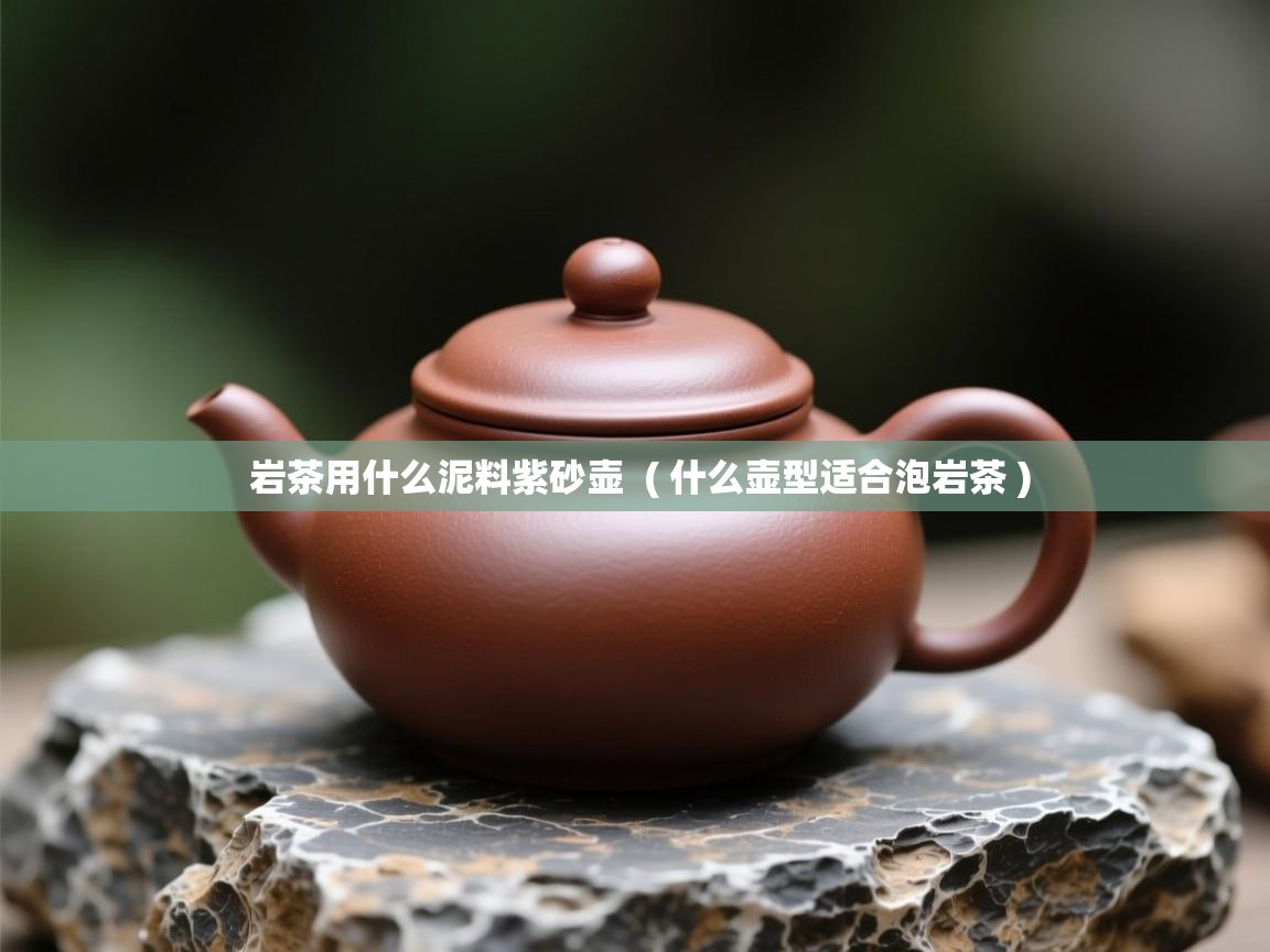  岩茶用什么泥料紫砂壶  ( 什么壶型适合泡岩茶 )